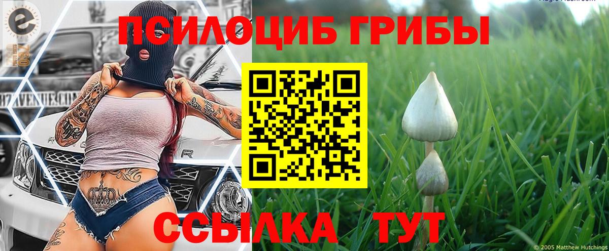 Псилоцибиновые грибы мухоморы Ставрополь