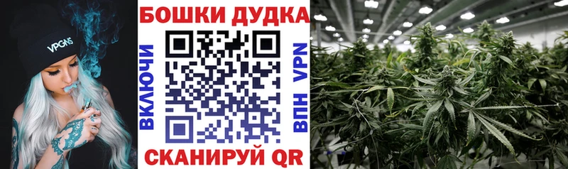 даркнет сайт  кракен вход  Бошки марихуана LSD WEED  Ставрополь 